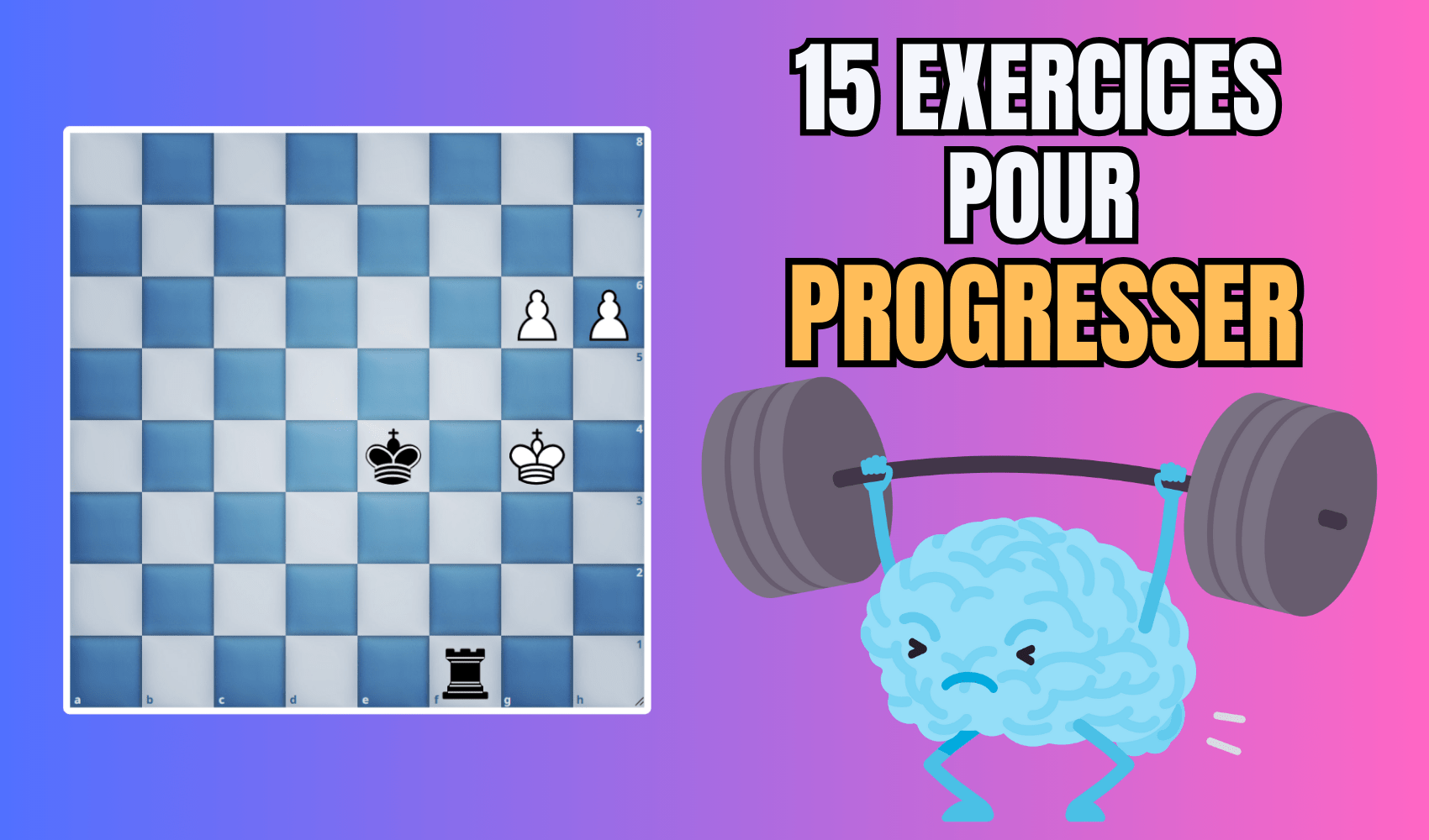 Semaine 47 Semaine 47