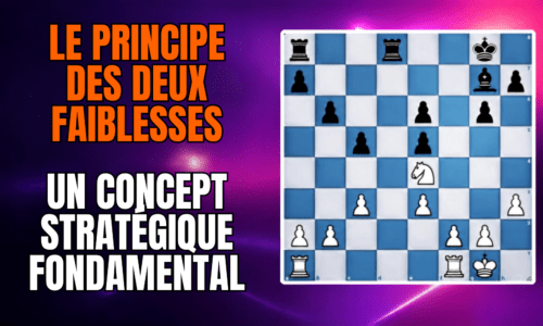 Miniature du cours